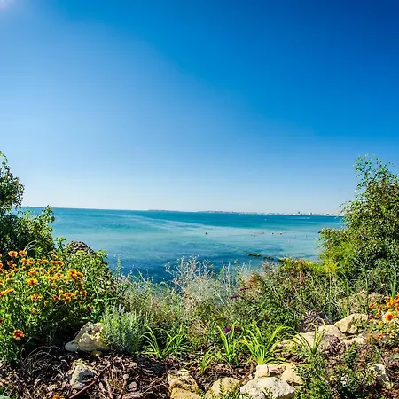 Premier Club - Full Board Hotel