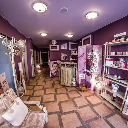 Отель Premier Club - Full Board 4*